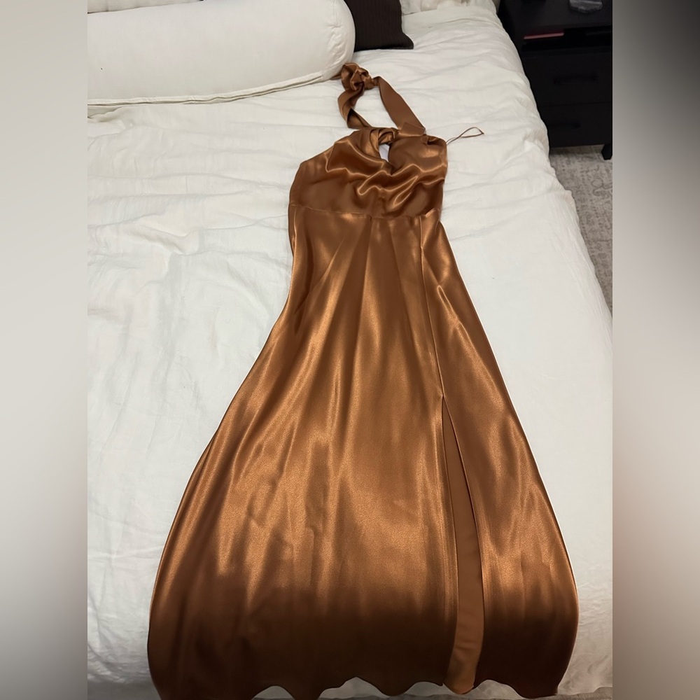 Birdy Grey Satin Backless Dress in Rust